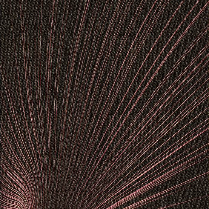 Machine Washable Transitional Black Rug, wshpat1829brn