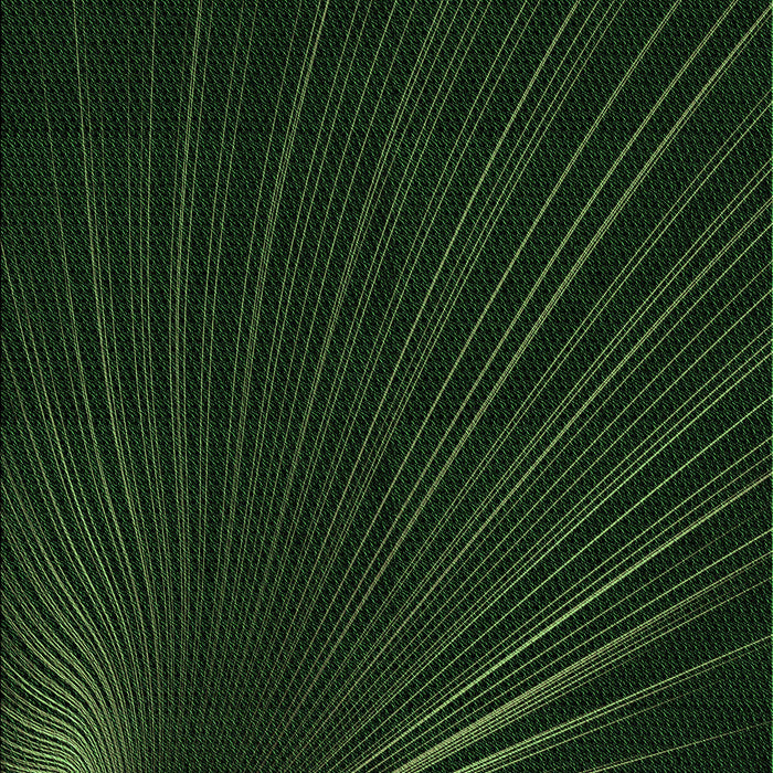 Patterned Black Rug, pat1829grn