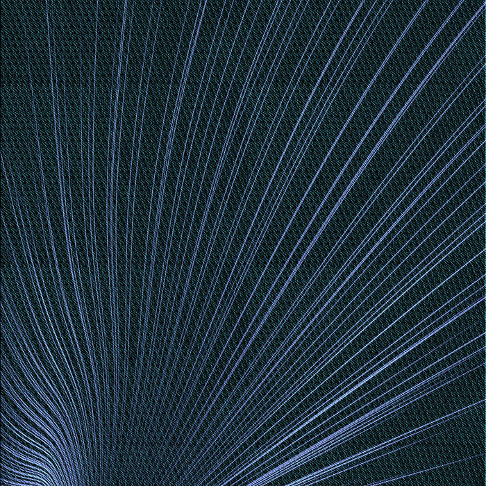 Patterned Black Rug, pat1829lblu