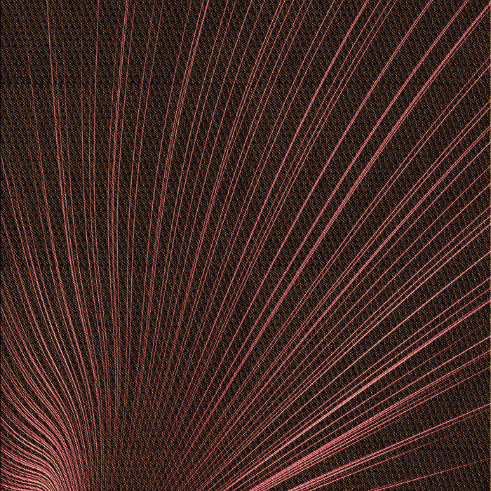 Machine Washable Transitional Red Brown Rug, wshpat1829org