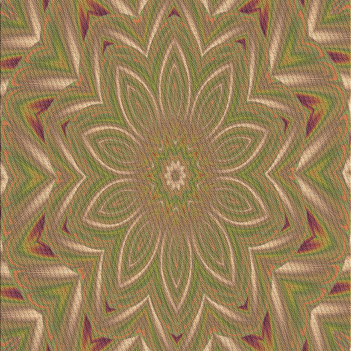 Machine Washable Transitional Caramel Brown Rug, wshpat184brn