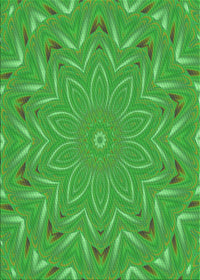 Machine Washable Transitional Neon Green Rug, wshpat184grn