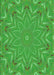 Machine Washable Transitional Neon Green Rug, wshpat184grn