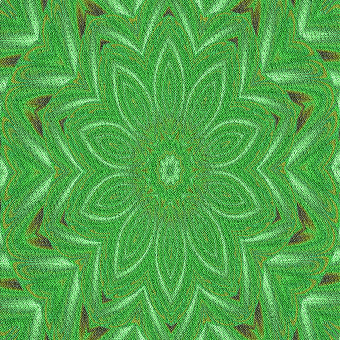 Machine Washable Transitional Neon Green Rug, wshpat184grn