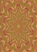 Patterned Orange Rug, pat184org