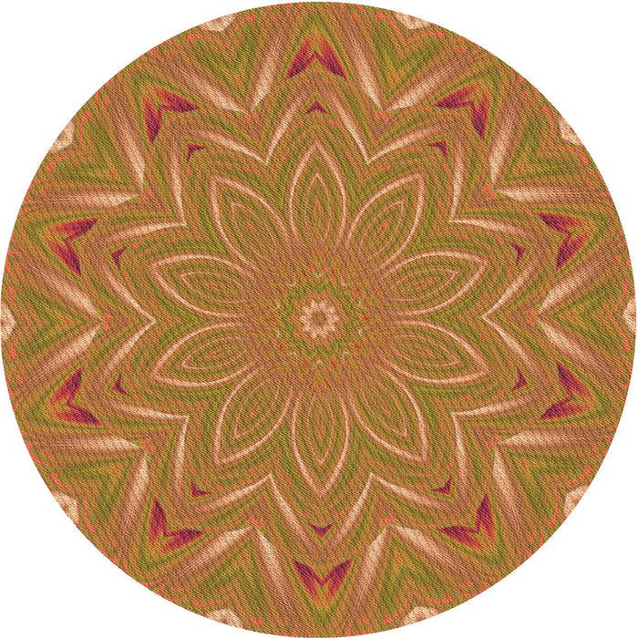 Square Machine Washable Transitional Orange Rug in a Living Room, wshpat184org