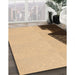 Machine Washable Transitional Saddle Brown Rug in a Family Room, wshpat1840org