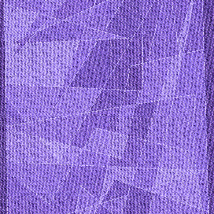Machine Washable Transitional Purple Mimosa Purple Rug, wshpat1841pur