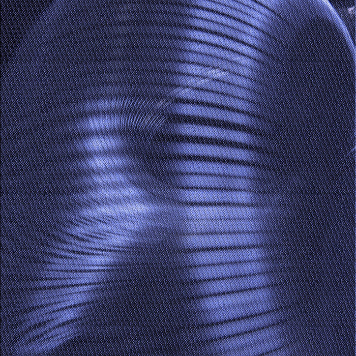 Patterned Night Blue Rug, pat1843blu