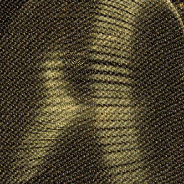 Machine Washable Transitional Oak Brown Rug, wshpat1843brn