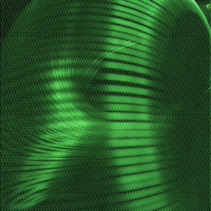 Machine Washable Transitional Green Rug, wshpat1843grn