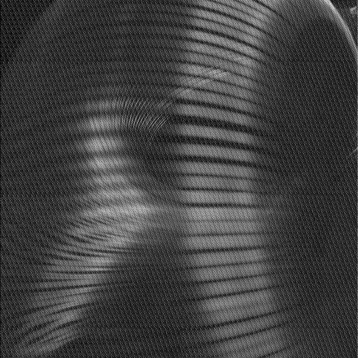 Patterned Carbon Gray Rug, pat1843gry