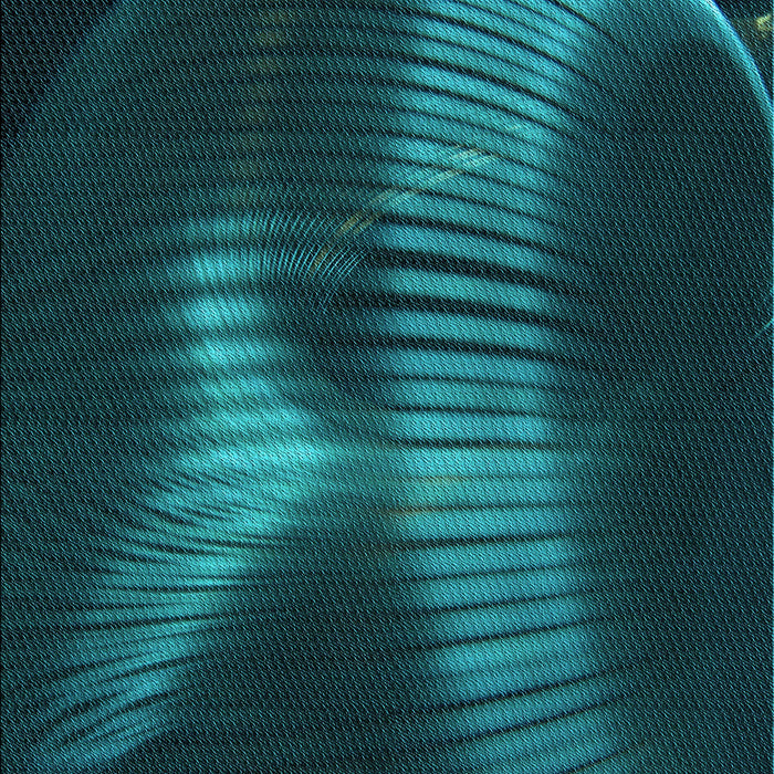 Machine Washable Transitional Dark Cyan Green Rug, wshpat1843lblu