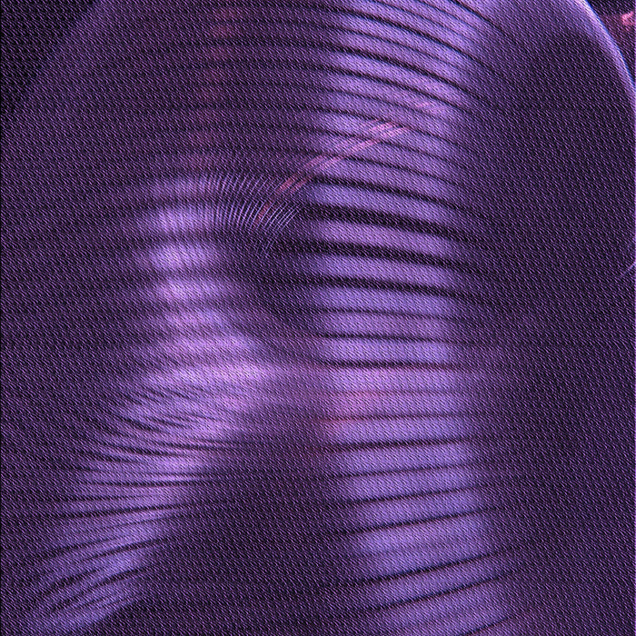 Patterned Purple Violet Purple Rug, pat1843pur