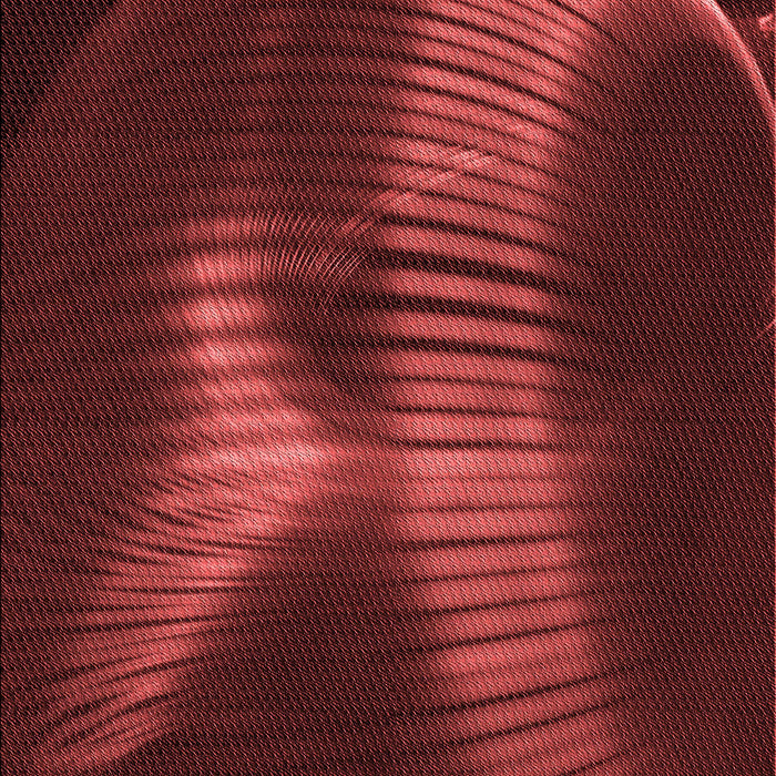 Patterned Red Rug, pat1843rd