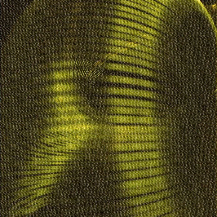 Patterned Olive Green Rug, pat1843yw