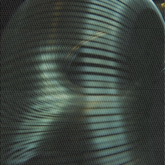 Patterned Black Novelty Rug, pat1843