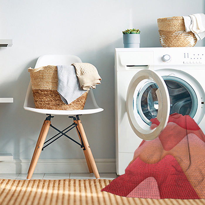 Machine Washable Transitional Red Rug in a Washing Machine, wshpat1846rd