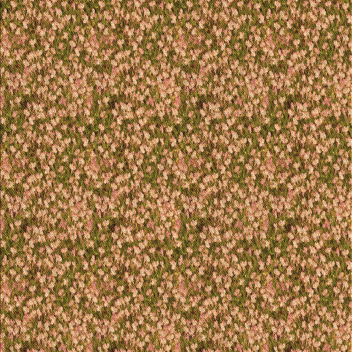 Machine Washable Transitional Saddle Brown Rug, wshpat1848org