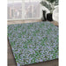 Patterned Blue Novelty Rug in Family Room, pat1848