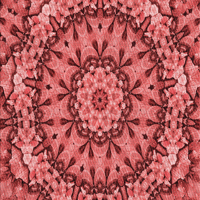 Machine Washable Transitional Red Rug, wshpat185rd