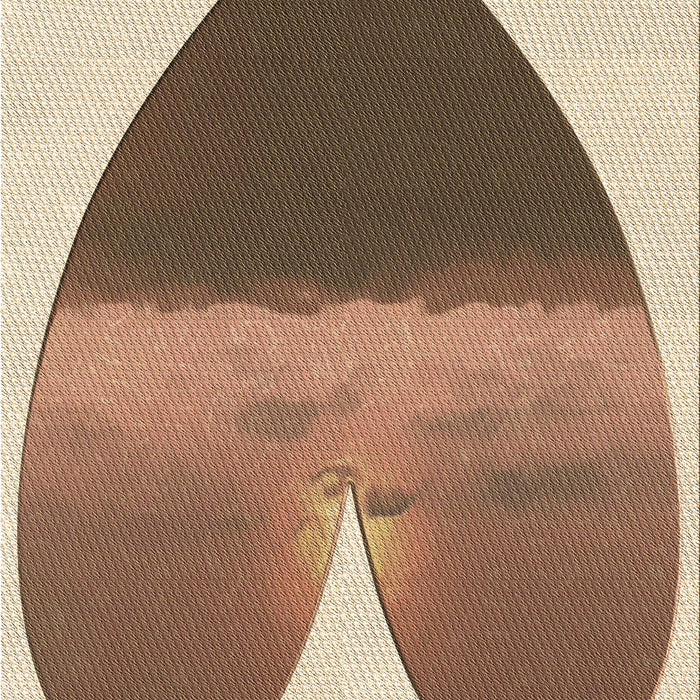 Machine Washable Transitional Saddle Brown Rug, wshpat1851brn