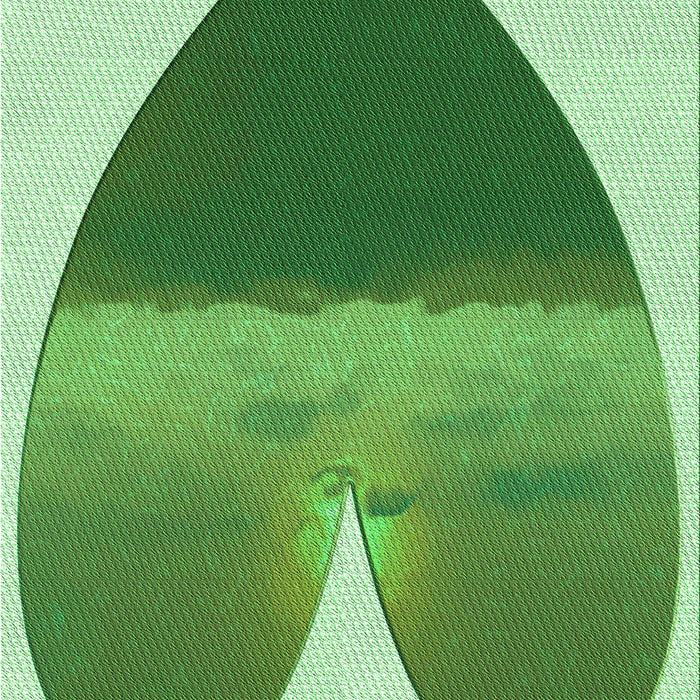 Patterned Pastel Green Rug, pat1851grn