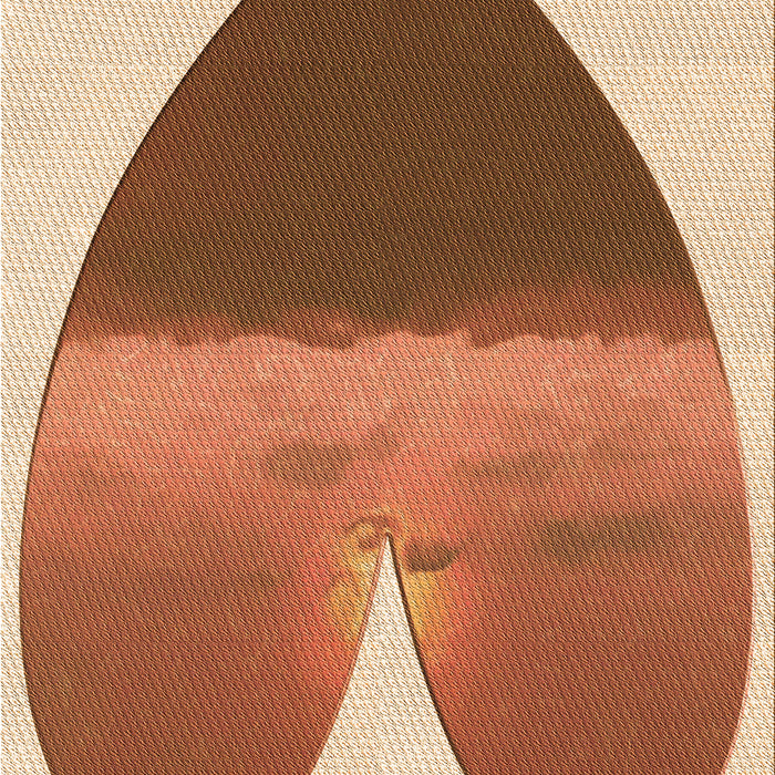 Machine Washable Transitional Mahogany Brown Rug, wshpat1851org