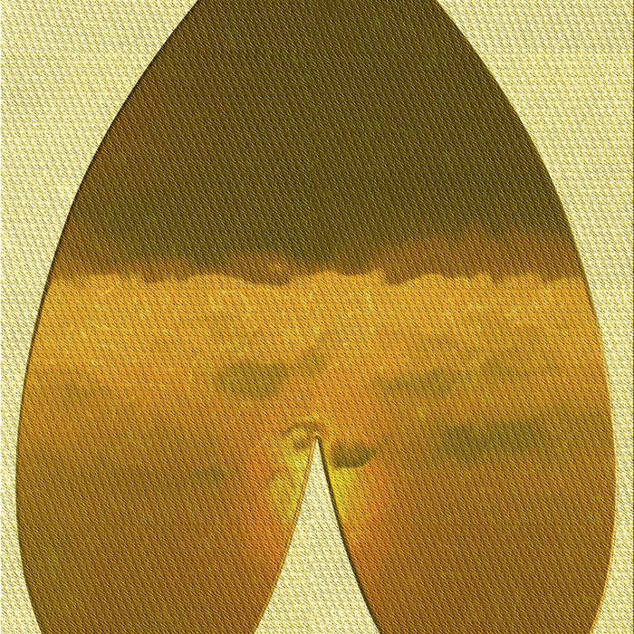 Patterned Dark Bisque Brown Rug, pat1851yw