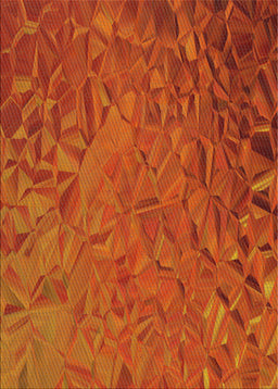 Machine Washable Transitional Neon Orange Rug, wshpat1854