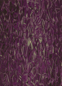 Machine Washable Transitional Purple Lily Purple Rug, wshpat1855brn