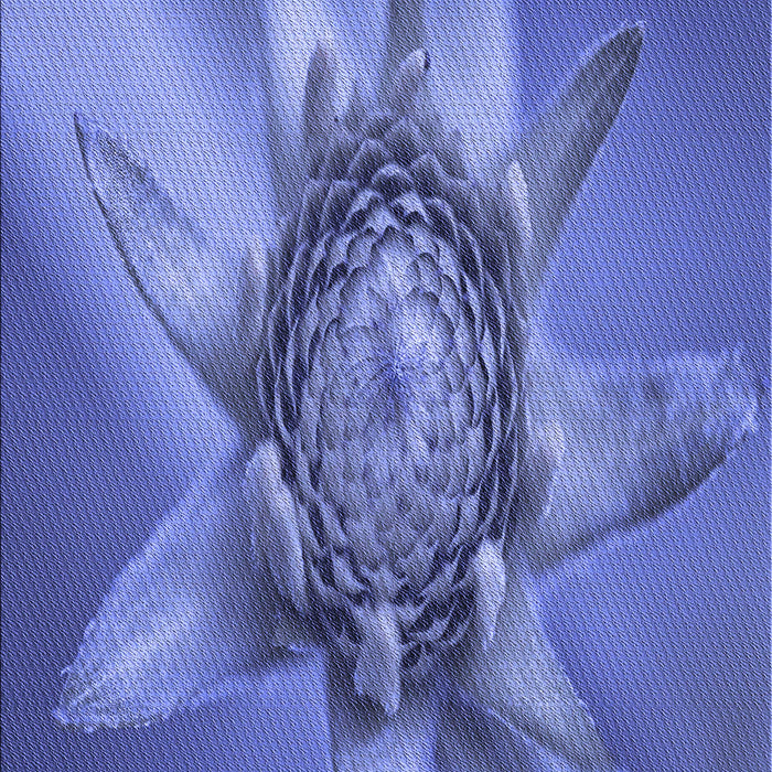 Machine Washable Transitional Sky Blue Rug, wshpat1857blu