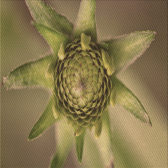 Round Patterned Red Brown Rug, pat1857brn