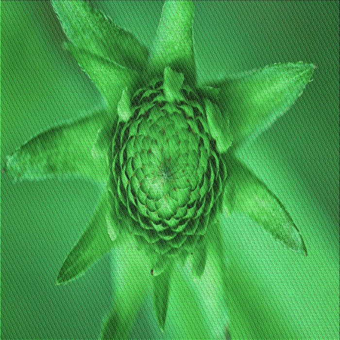 Round Machine Washable Transitional Green Rug, wshpat1857grn