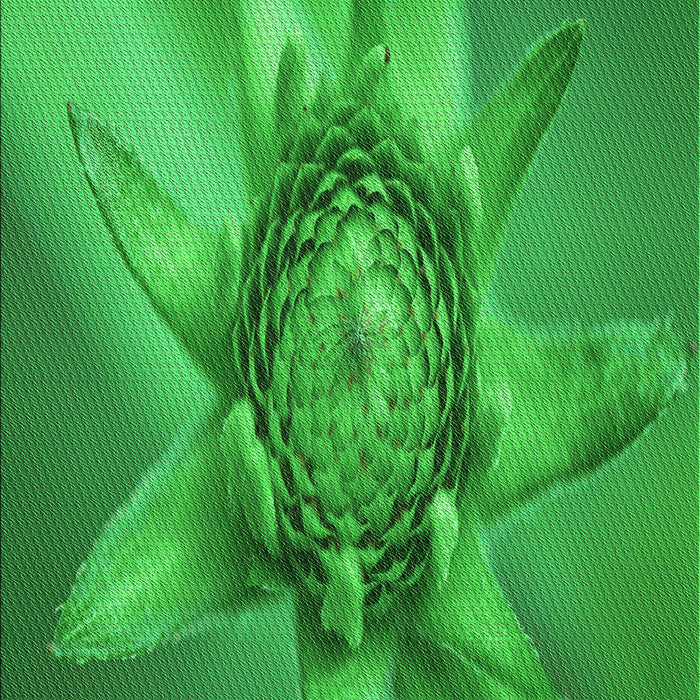 Patterned Green Rug, pat1857grn