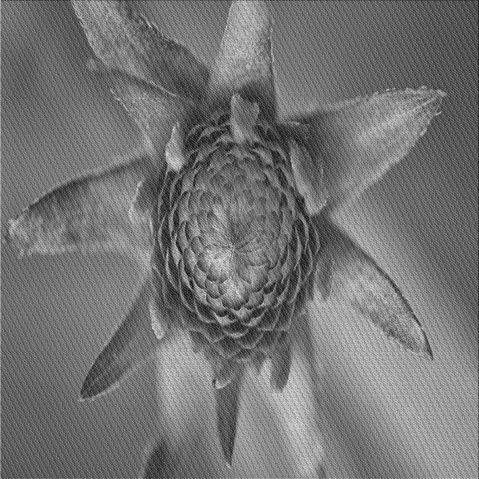 Round Patterned Gunmetal Gray Rug, pat1857gry