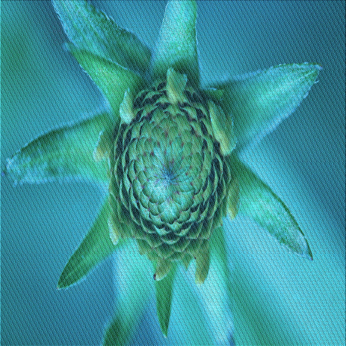 Round Machine Washable Transitional Dark Cyan Green Rug, wshpat1857lblu