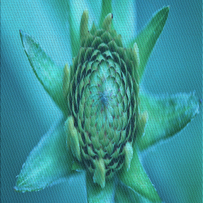 Machine Washable Transitional Dark Cyan Green Rug, wshpat1857lblu