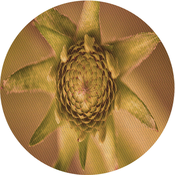 Square Patterned Mahogany Brown Rug, pat1857org