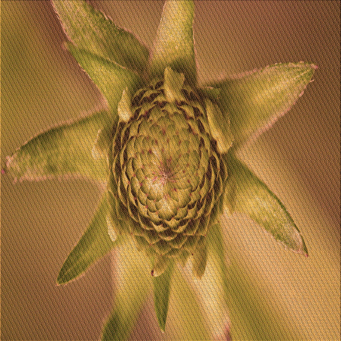 Round Machine Washable Transitional Mahogany Brown Rug, wshpat1857org