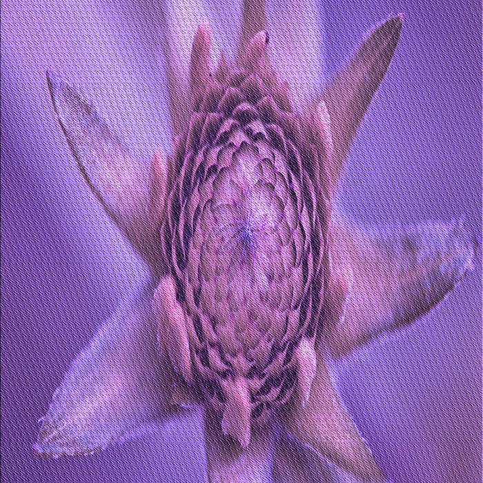 Machine Washable Transitional Purple Rug, wshpat1857pur