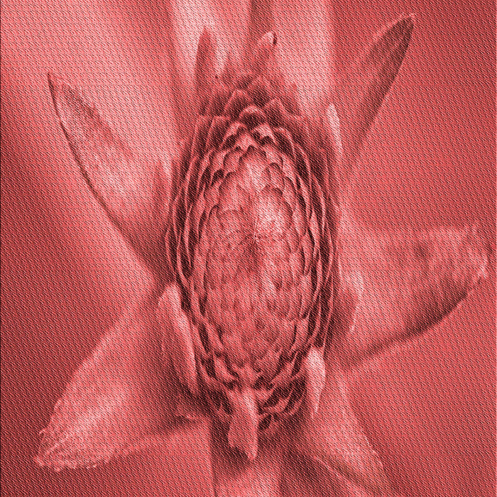 Patterned Red Rug, pat1857rd