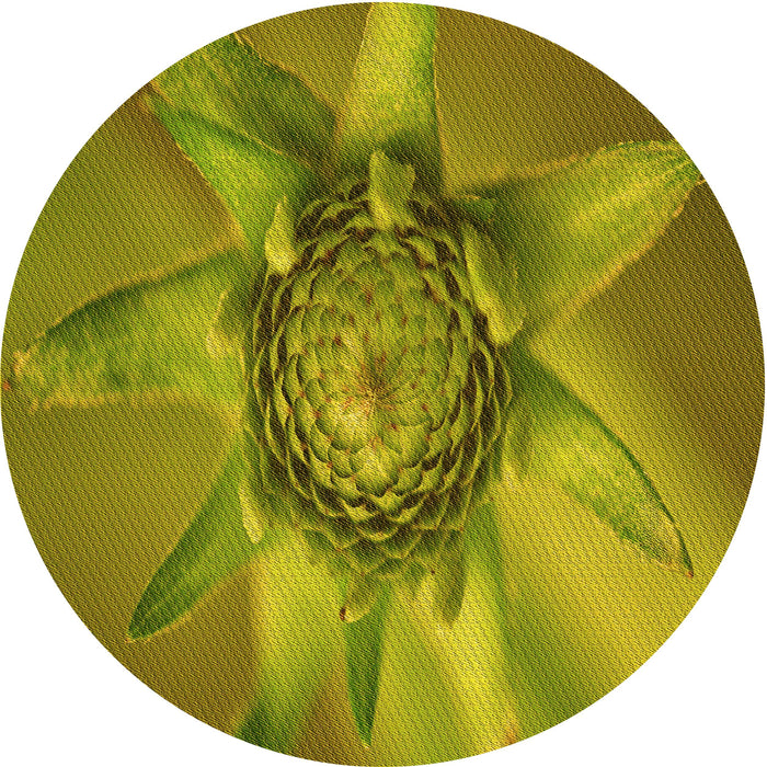 Square Patterned Olive Green Rug, pat1857yw