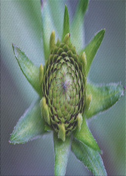 Patterned Dark Sea Green Novelty Rug, pat1857