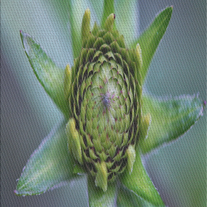 Machine Washable Transitional Dark Sea Green Rug, wshpat1857