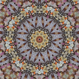 Sideview of Machine Washable Transitional Bakers Brown Rug, wshpat185