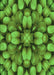 Patterned Green Rug, pat186grn