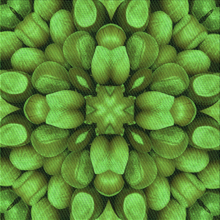 Round Machine Washable Transitional Green Rug, wshpat186grn