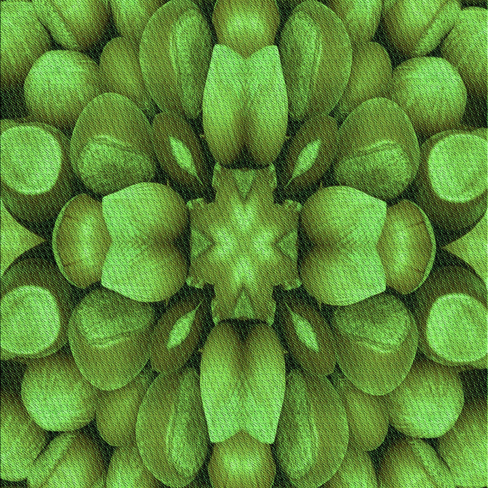 Machine Washable Transitional Green Rug, wshpat186grn