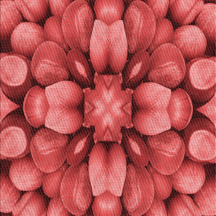 Patterned Red Rug, pat186rd